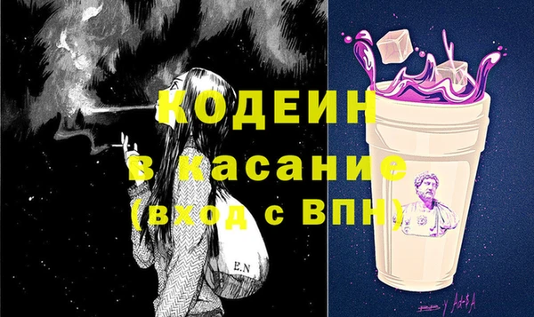 прущие грибы Гусиноозёрск