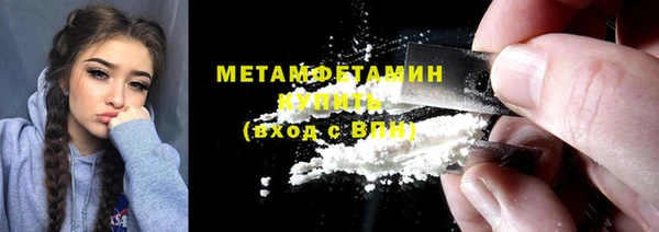 прущие грибы Гусиноозёрск