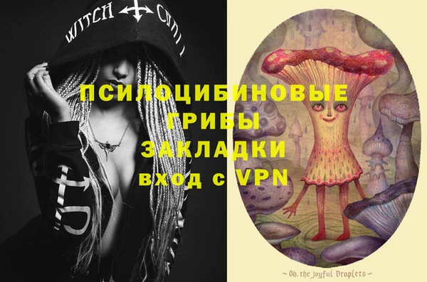 дурь Дмитровск