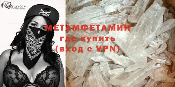 прущие грибы Гусиноозёрск