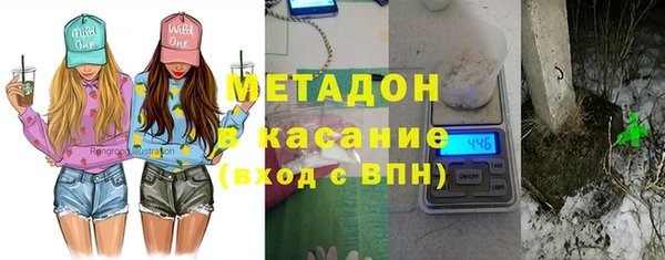 прущие грибы Гусиноозёрск