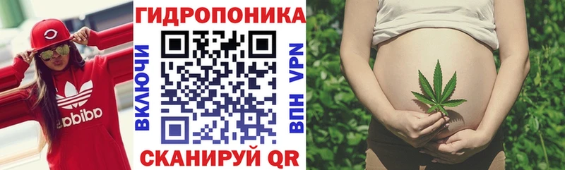 Бошки Шишки VHQ  Купить  Палласовка 